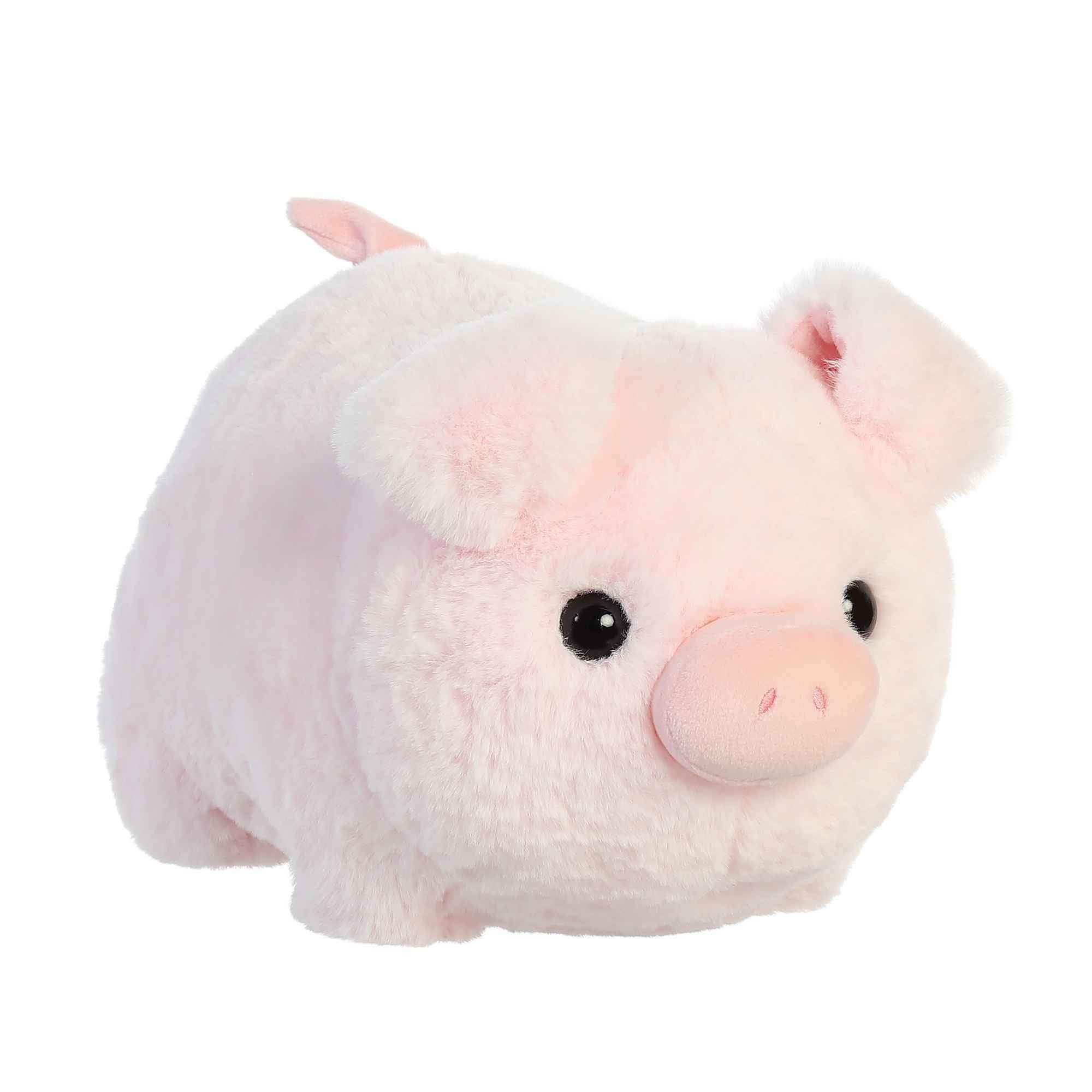 Spudsters Cutie Pig