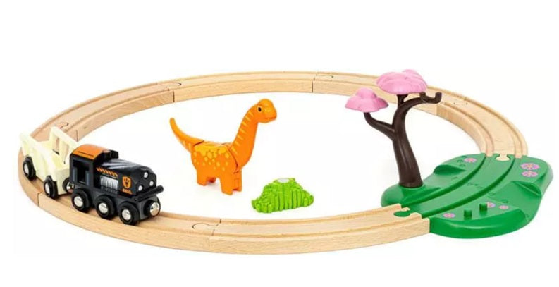 Dinosaur Circle Set