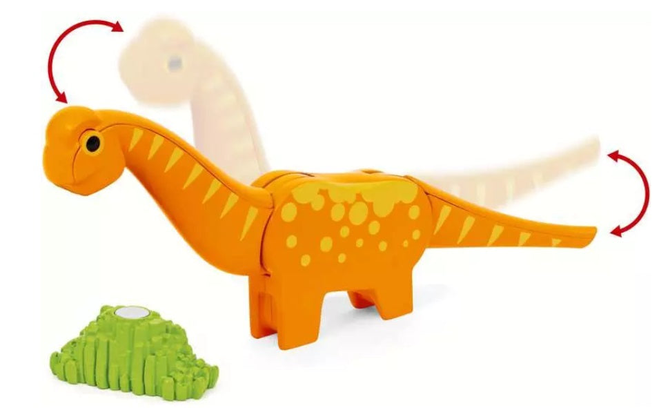 Dinosaur Circle Set