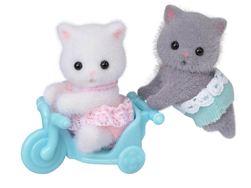 Persian Cat Twins