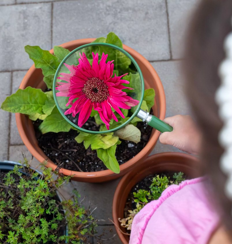 BigEye Oversized Magnifying Glass