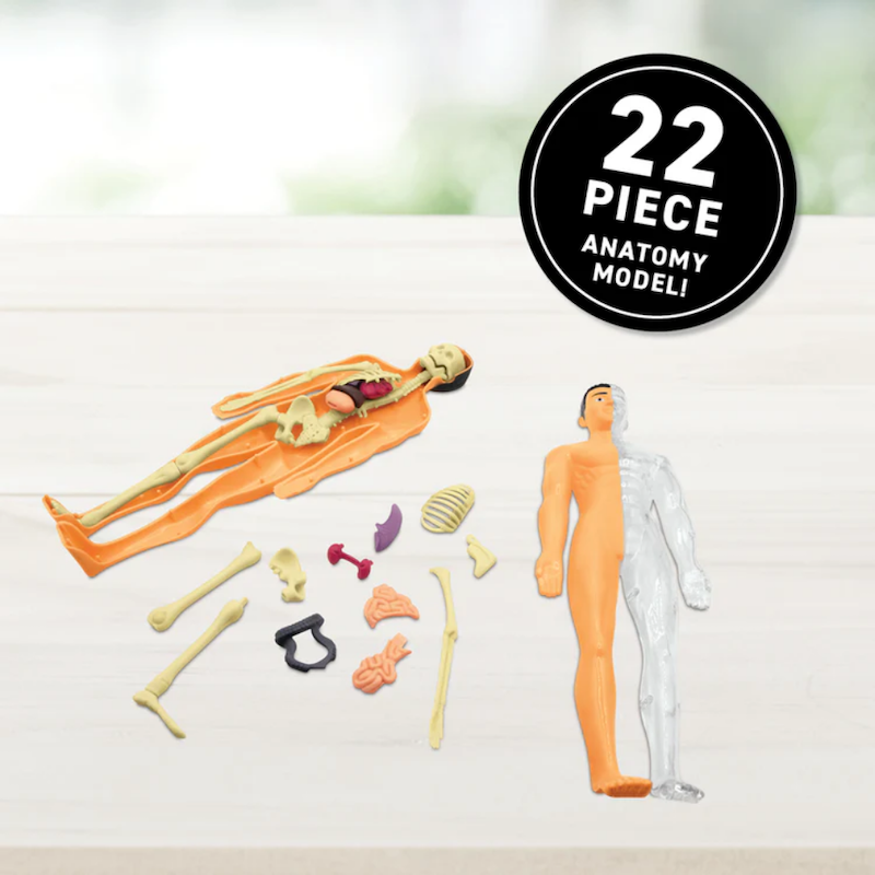 Virtual Reality Human Body!