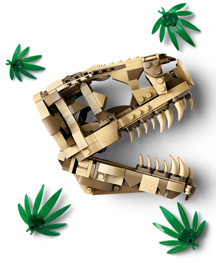 LEGO® Dinosaur Fossils: T. rex Skull 76964