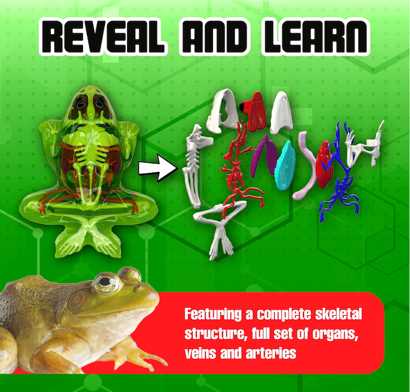 Dissect-It Frog Plus