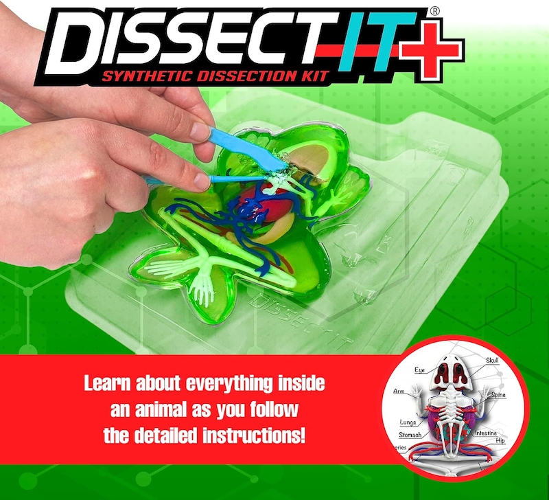 Dissect-It Frog Plus