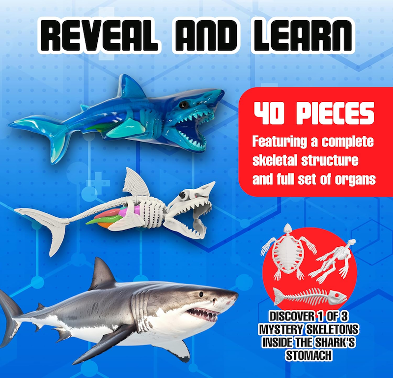 Dissect-It Super Shark Lab