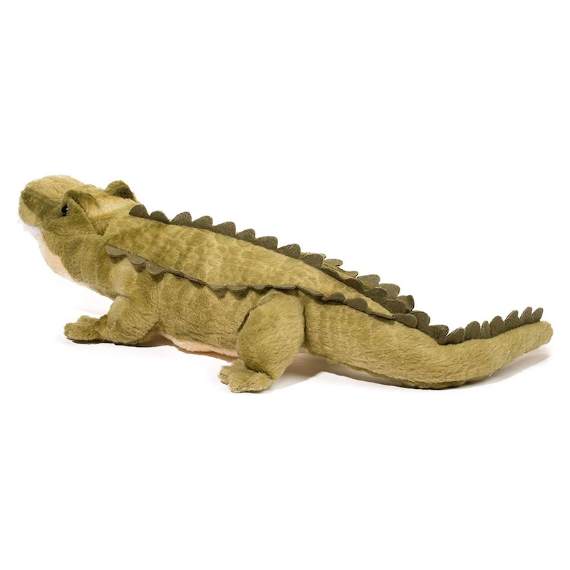Stream Line Alligator