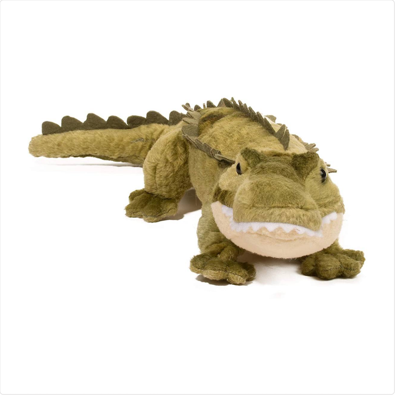 Stream Line Alligator