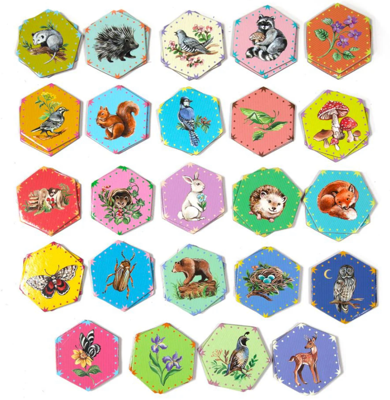 Life in a Meadow Matching Game