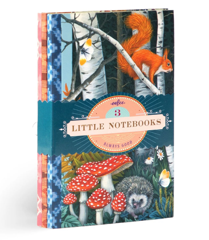 Vasilisa Little Book Set