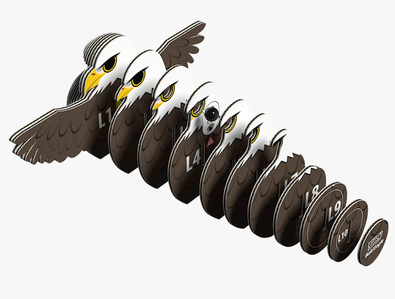 Bald Eagle 3D Puzzle