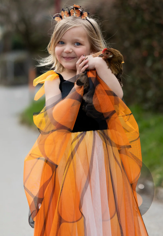 Monarch Butterfly Twirl Dress with Wings & Headband, Size 3-4