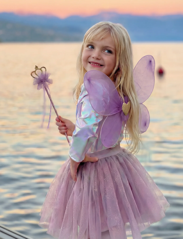 Royal Fairy Princess Skirt Set, Size 4-6, Purple