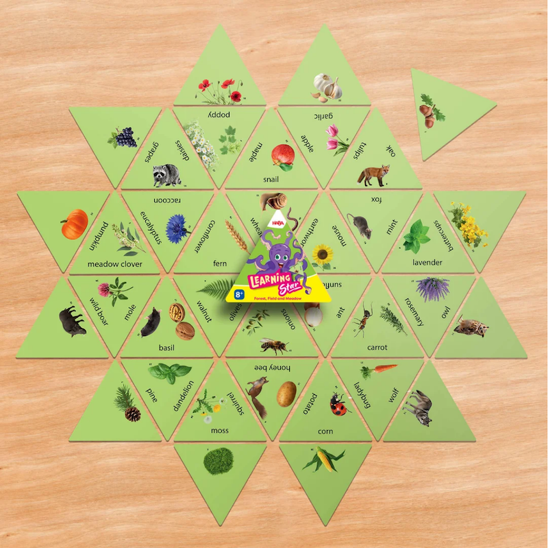Learning Star -