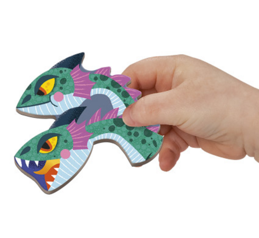 Dragons Magneti-Book