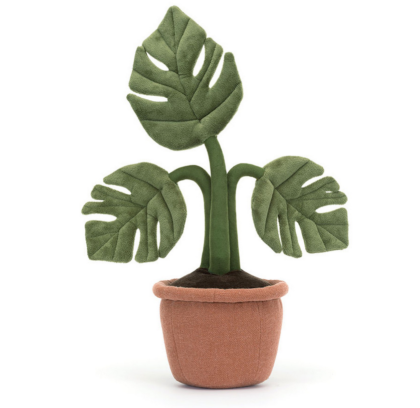 Amuseables Monstera Plant