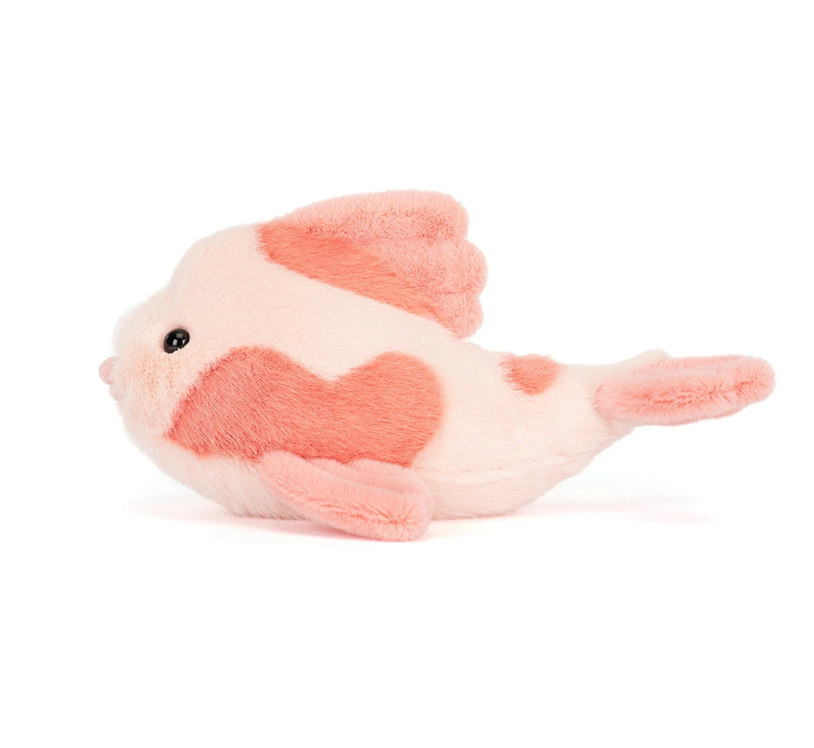 Fancy Carp