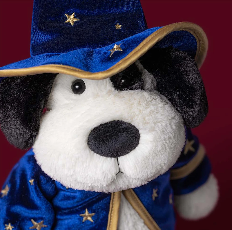 Rufferty Puppy Wizard Outfit