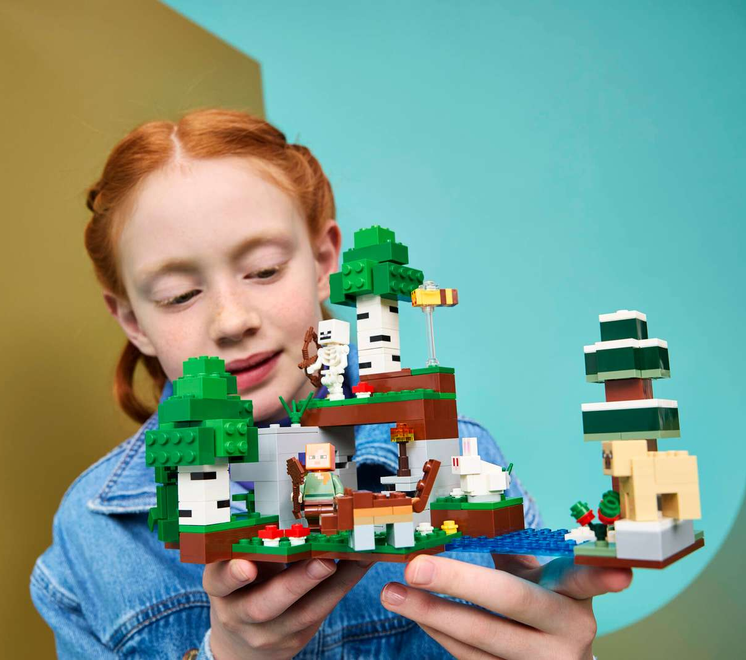 LEGO® Minecraft®  First Night Adventure 21593