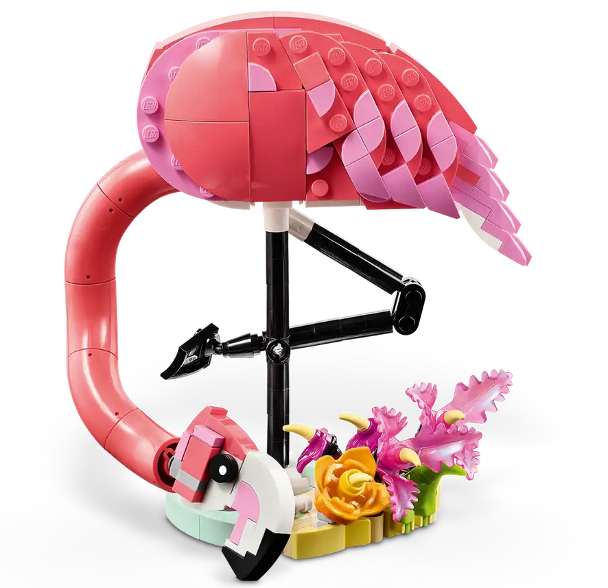 Wild Animals: Pink Flamingo