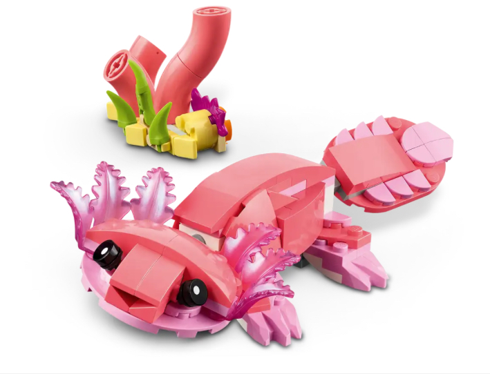 Wild Animals: Pink Flamingo