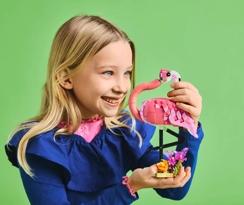 Wild Animals: Pink Flamingo