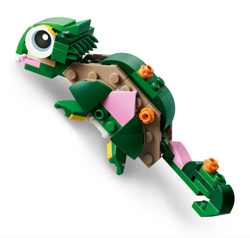 Turtle with a Water Lily