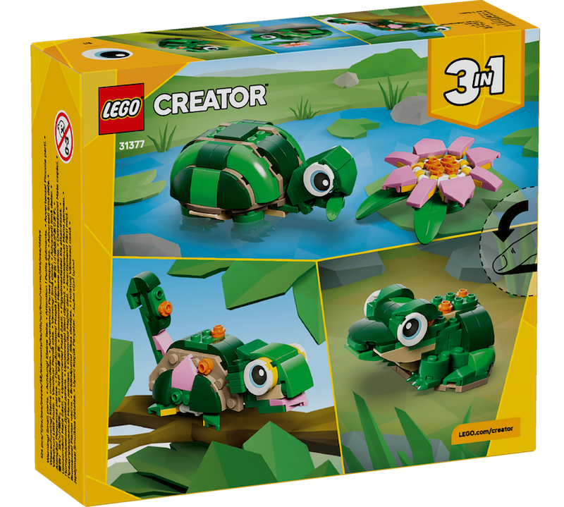 Turtle with a Water Lily