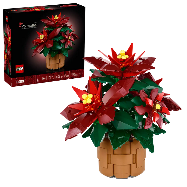 Poinsettia