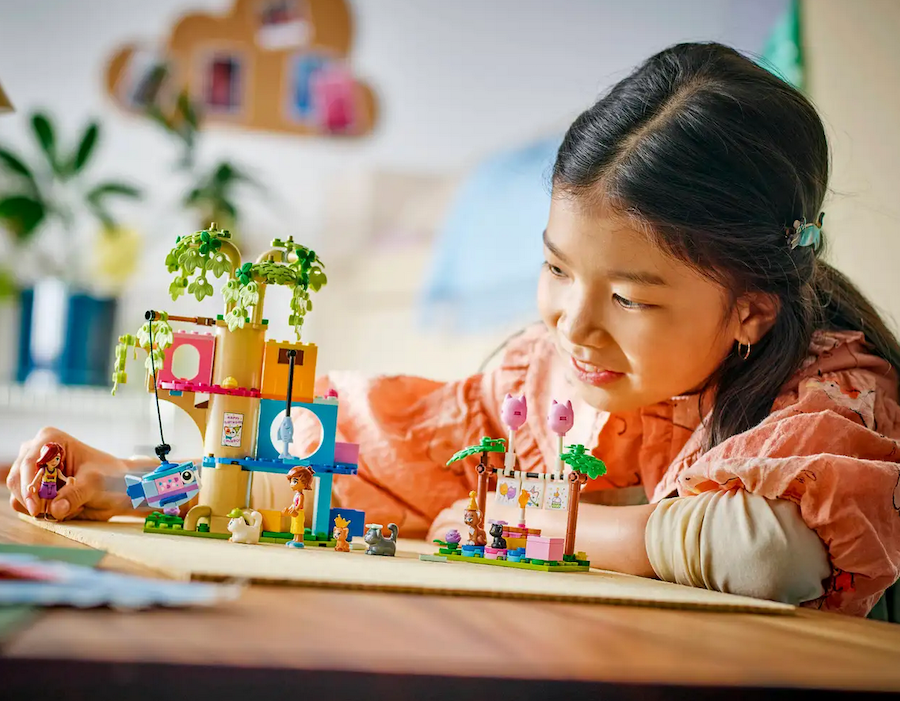 Cat Birthday Party & Tree House