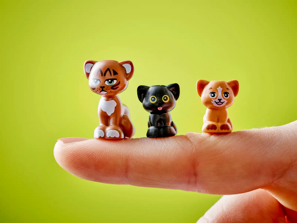 Cat Birthday Party & Tree House