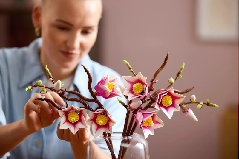 Magnolia Branches