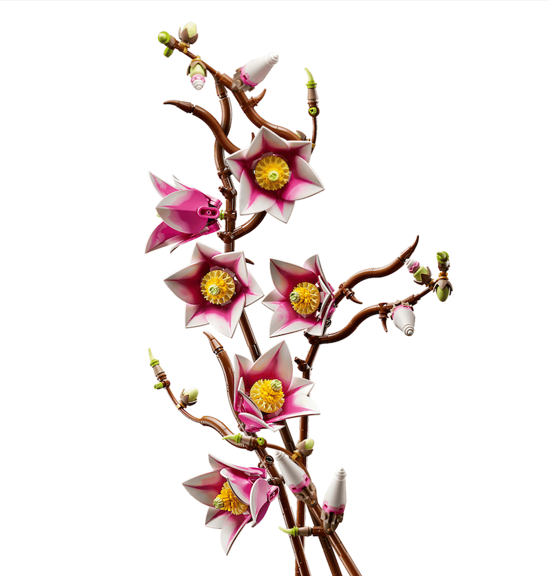 Magnolia Branches