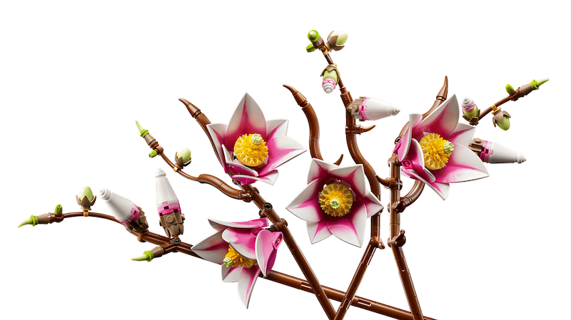 Magnolia Branches