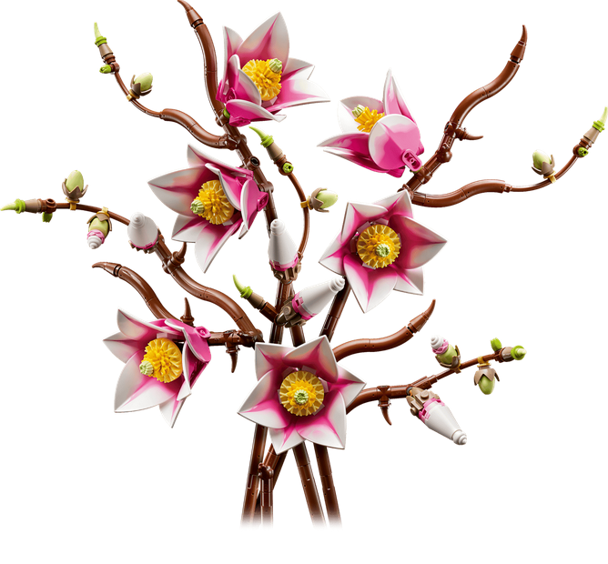 Magnolia Branches