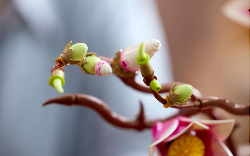 Magnolia Branches