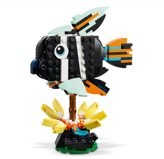 Wild Animals: Tropical Toucan
