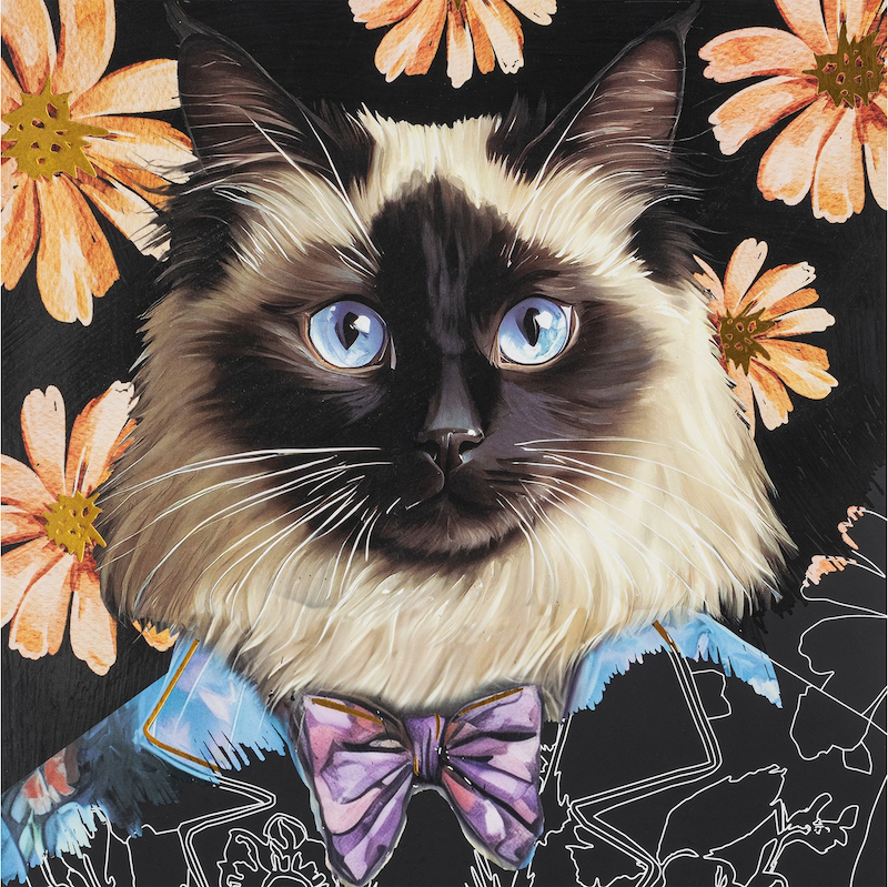 Pet Fashion Scratch Art Pad