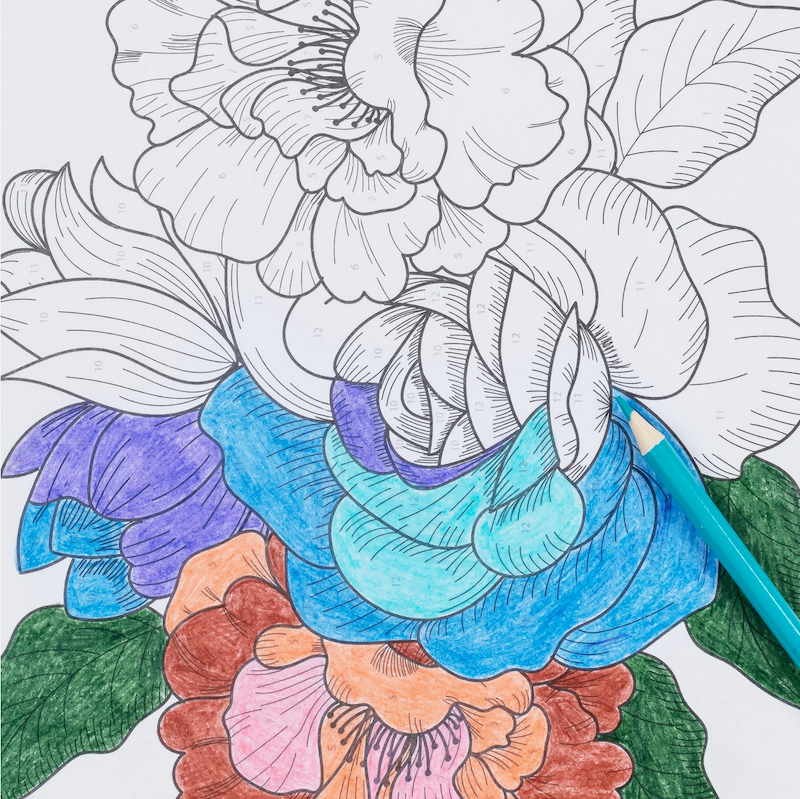 Floral Color by Number Pad & Pencil Set