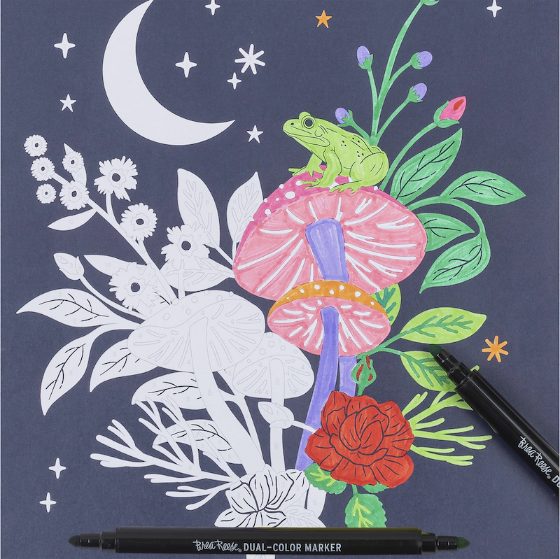 Whimsical Botanical Color by Number Kit with Markers