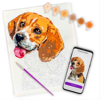 Paint by Number Your Photo - Pets Edition