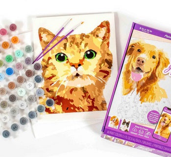 Paint by Number Your Photo - Pets Edition