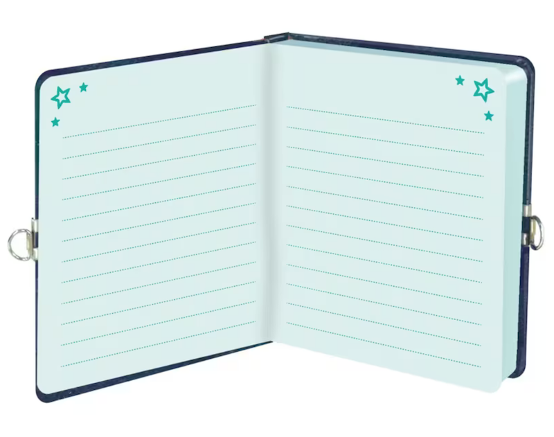 My Secret Keep Out Diary