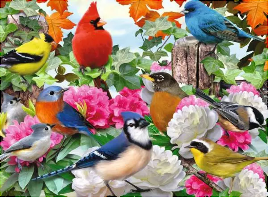 Garden Birds 500 Pc Puzzle