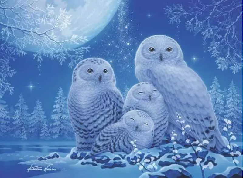Glow in the Dark: Owls in the Moonlight 500 pc Puzzle