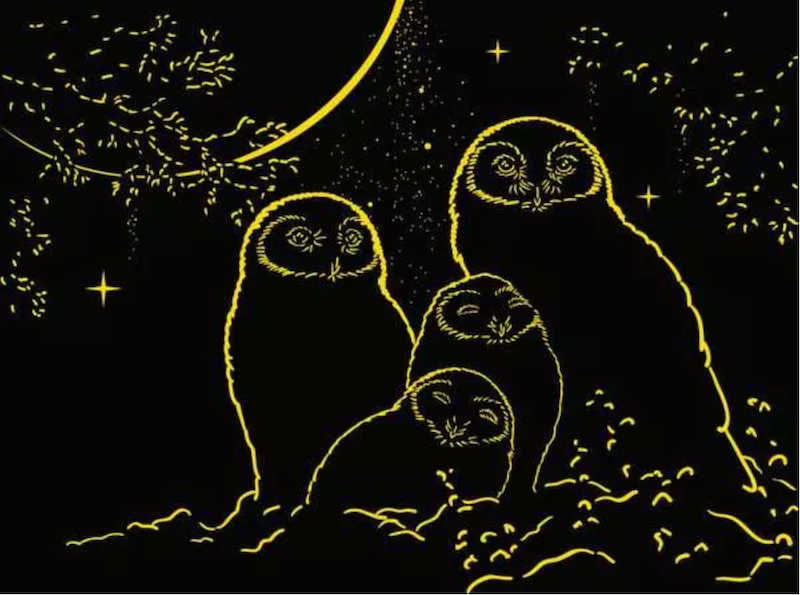 Glow in the Dark: Owls in the Moonlight 500 pc Puzzle