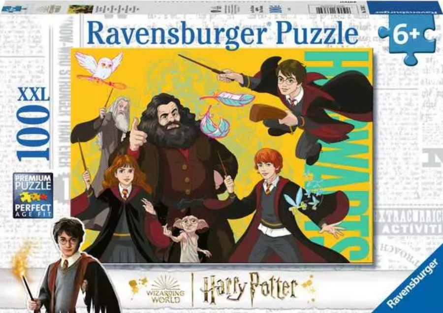 Harry Potter and Other Wizards 100 pc Puzzle