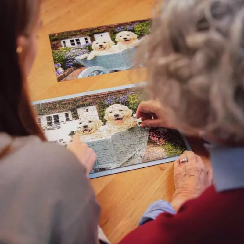 Golden Retrievers XL 200 pc Puzzle
