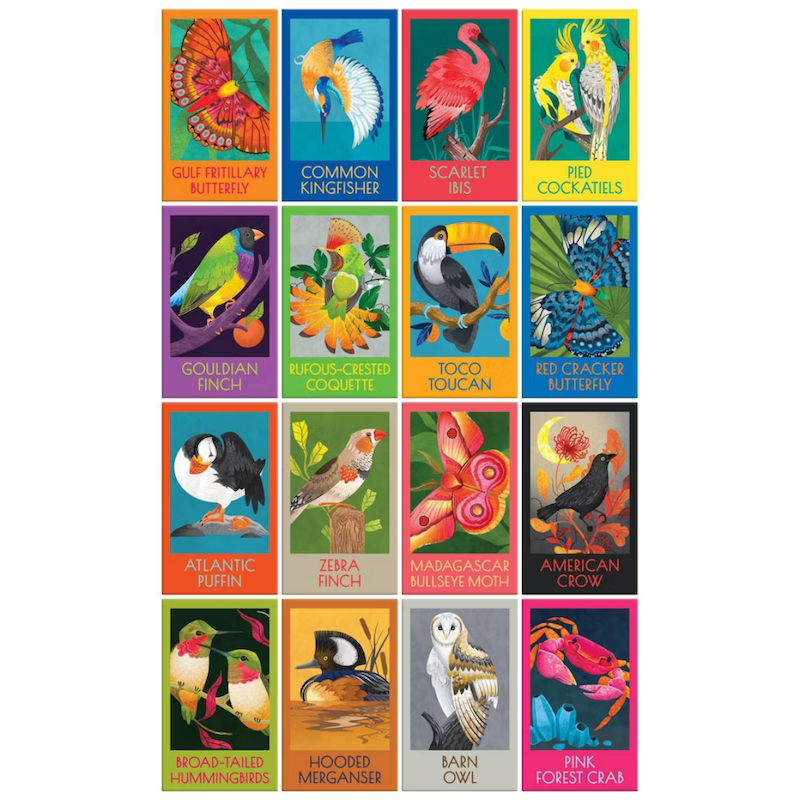 Birds, Butterflies & A Crab 16 Puzzle Box Set