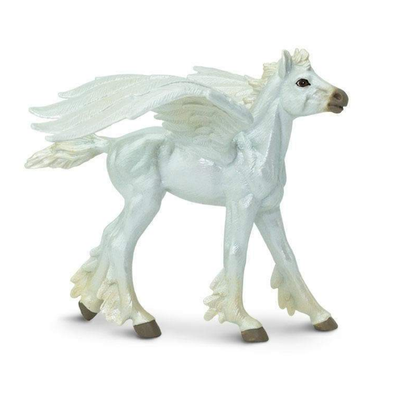 Baby Pegasus